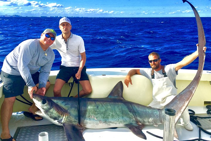 Thresher Shark Caught 